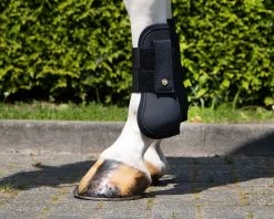 QHP Tendon Boots Rio -Equestrian Supplies Online Shop 00006776W 3 312090271