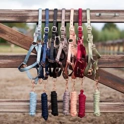 HB Showtime Eclipse Halter-set -Equestrian Supplies Online Shop 00006783W 2 301079235