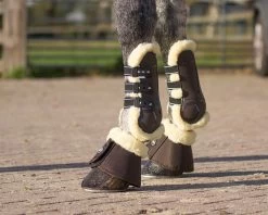 QHP Tendon Boots Ontario -Equestrian Supplies Online Shop 00006835W 2 312050079