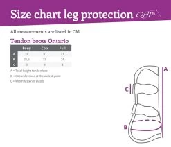 QHP Tendon Boots Ontario -Equestrian Supplies Online Shop 00006835W 3 312060018