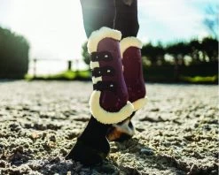 QHP Tendon Boots Ontario -Equestrian Supplies Online Shop 00006835W 4 312034016