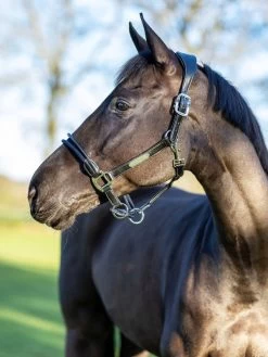 LeMieux Rope Control Headcollar -Equestrian Supplies Online Shop 00006841W 2 301090429