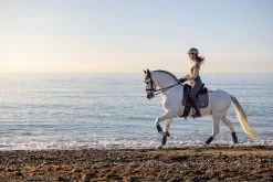 LeMieux Saddlepad Earth Dressage -Equestrian Supplies Online Shop 00006845W 3 218060292