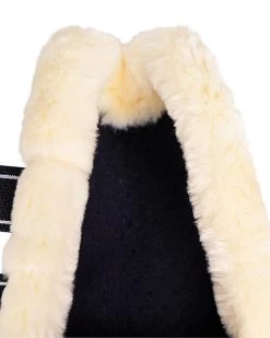 QHP Tendon Boots Menton -Equestrian Supplies Online Shop 00006846W 2 312090306