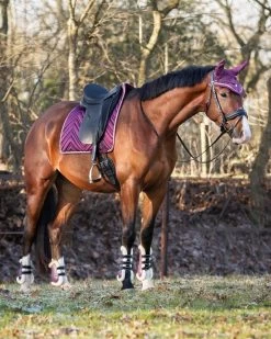 QHP Tendon Boots Menton -Equestrian Supplies Online Shop 00006846W 3 312040049