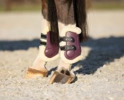 QHP Fetlock Boots Menton -Equestrian Supplies Online Shop 00006847W 2 313040009