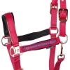 Harry's Horse Halterset Dividal