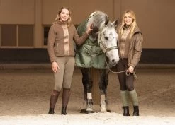 Harry's Horse Halterset Dividal -Equestrian Supplies Online Shop 00006875W 3 301060126