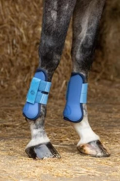 Harry's Horse Legprotection Set -Equestrian Supplies Online Shop 00006877W 2 312070082