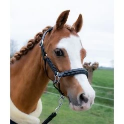 HB Showtime Leather Halter Glitty Little Sizes