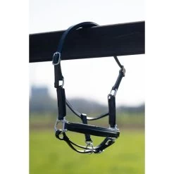 HB Showtime Leather Halter Glitty Little Sizes -Equestrian Supplies Online Shop 00006883W 3 301090438