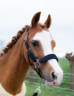 HB Showtime Velvet Halter Little Sizes