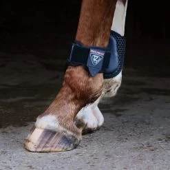 Equilibrium Tri-Zone Fetlock Boots -Equestrian Supplies Online Shop 00006886W 2 313090115