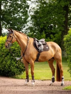 LeMieux Saddlepad Puissance Suede CC -Equestrian Supplies Online Shop 00006927W 3 218050212