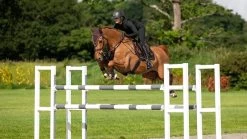 LeMieux Saddlepad Puissance Suede CC -Equestrian Supplies Online Shop 00006927W 4 218050212