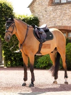 LeMieux Saddlepad Puissance Suede CC -Equestrian Supplies Online Shop 00006927W 4 218090478