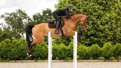 LeMieux Saddlepad Crystal Suede CC -Equestrian Supplies Online Shop 00006930W 3 218050211