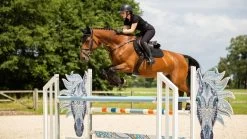 LeMieux Saddlepad Crystal Suede CC -Equestrian Supplies Online Shop 00006930W 3 218090477