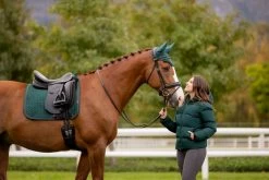LeMieux Schabracke Suede Dressage Square Brick -Equestrian Supplies Online Shop 00006963W 2 218060295