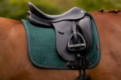 LeMieux Schabracke Suede Dressage Square Brick -Equestrian Supplies Online Shop 00006963W 3 218060295