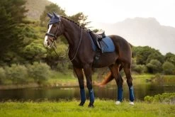 LeMieux Schabracke Suede Dressage Square Brick -Equestrian Supplies Online Shop 00006963W 3 218070490