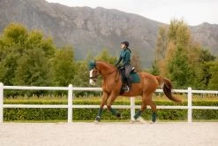 LeMieux Schabracke Suede Dressage Square Brick -Equestrian Supplies Online Shop 00006963W 4 218060295