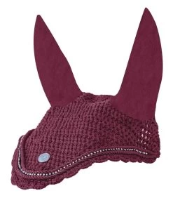 Waldhausen Earnet Nepal