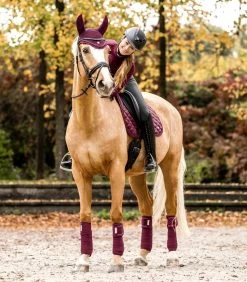 Waldhausen Earnet Nepal -Equestrian Supplies Online Shop 00006973W 4 405134031