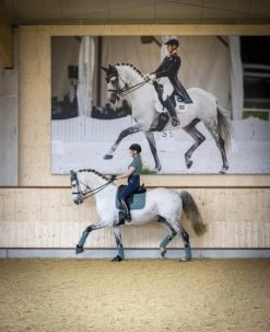 LeMieux Saddlepad Carbon Mesh Dressage 30 LeMieux Saddlepad Carbon Mesh Dressage -Equestrian Supplies Online Shop 00007000W 3 218060232