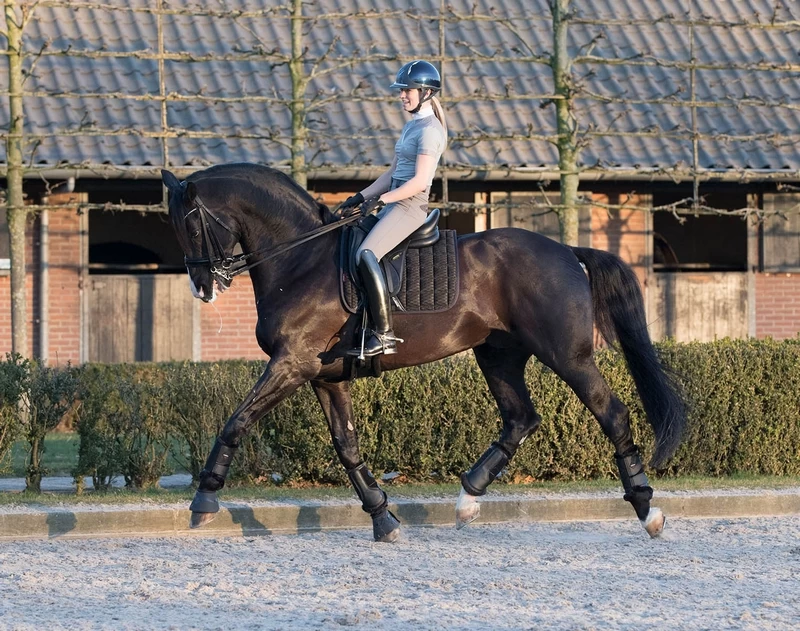 LeMieux Saddlepad Carbon Mesh Dressage 16 LeMieux Saddlepad Carbon Mesh Dressage - Image 16