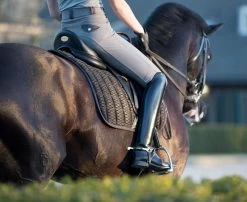 LeMieux Saddlepad Carbon Mesh Dressage 39 LeMieux Saddlepad Carbon Mesh Dressage -Equestrian Supplies Online Shop 00007000W 4 218090286
