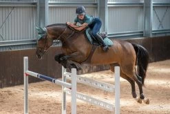 LeMieux Saddlepad Loire Classic Satin CC -Equestrian Supplies Online Shop 00007001W 4 218060165