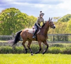 LeMieux Saddlepad Luxery Suede CC Square -Equestrian Supplies Online Shop 00007002W 4 218052040
