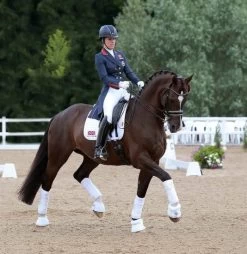 LeMieux Saddlepad Luxery Suede Dressage Square -Equestrian Supplies Online Shop 00007003W 3 218010339