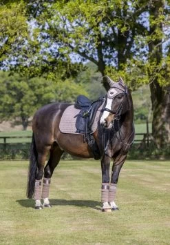 LeMieux Saddlepad Luxery Suede Dressage Square -Equestrian Supplies Online Shop 00007003W 3 218052039