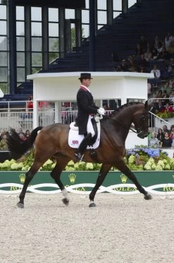 LeMieux Saddlepad Luxery Suede Dressage Square -Equestrian Supplies Online Shop 00007003W 4 218010339