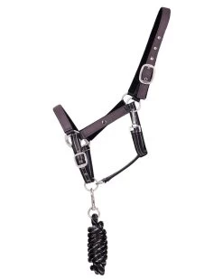 QHP Headcollar Turnout Collection -Equestrian Supplies Online Shop 00007009W 1 301060129