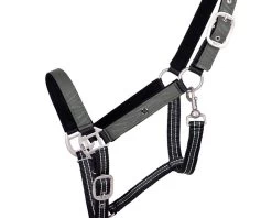QHP Headcollar Turnout Collection -Equestrian Supplies Online Shop 00007009W 2 301080155