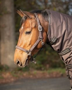 QHP Headcollar Turnout Collection -Equestrian Supplies Online Shop 00007009W 3 301060129