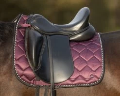 QHP Saddle Pad Collection -Equestrian Supplies Online Shop 00007012W 3 218040156