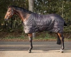 QHP Stable Rug Start Collection 200gr