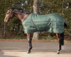 QHP Stable Rug Start Collection 200gr -Equestrian Supplies Online Shop 00007023W 1 401180003
