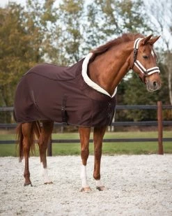 QHP Show Rug Julin 12 QHP Show Rug Julin -Equestrian Supplies Online Shop 00007026W 2 406050027