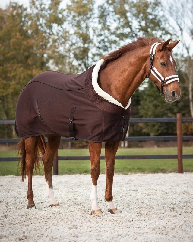 QHP Show Rug Julin 6 QHP Show Rug Julin - Image 6