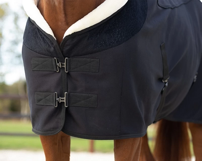 QHP Show Rug Julin 2 QHP Show Rug Julin - Image 2