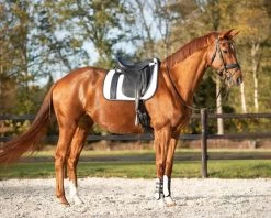QHP Saddle Pad Kae -Equestrian Supplies Online Shop 00007031W 4 218010403