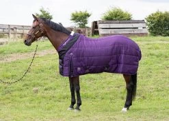 Harry's Horse Stable Rug Highliner 200grs