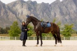 LeMieux Saddle Pad Loire Classic CC -Equestrian Supplies Online Shop 00007060W 2 218070491