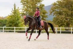 LeMieux Saddlepad Loire Classic Dressuur -Equestrian Supplies Online Shop 00007061W 2 218035277