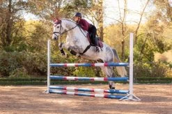 LeMieux Loire Fly Hood -Equestrian Supplies Online Shop 00007063W 2 405135051